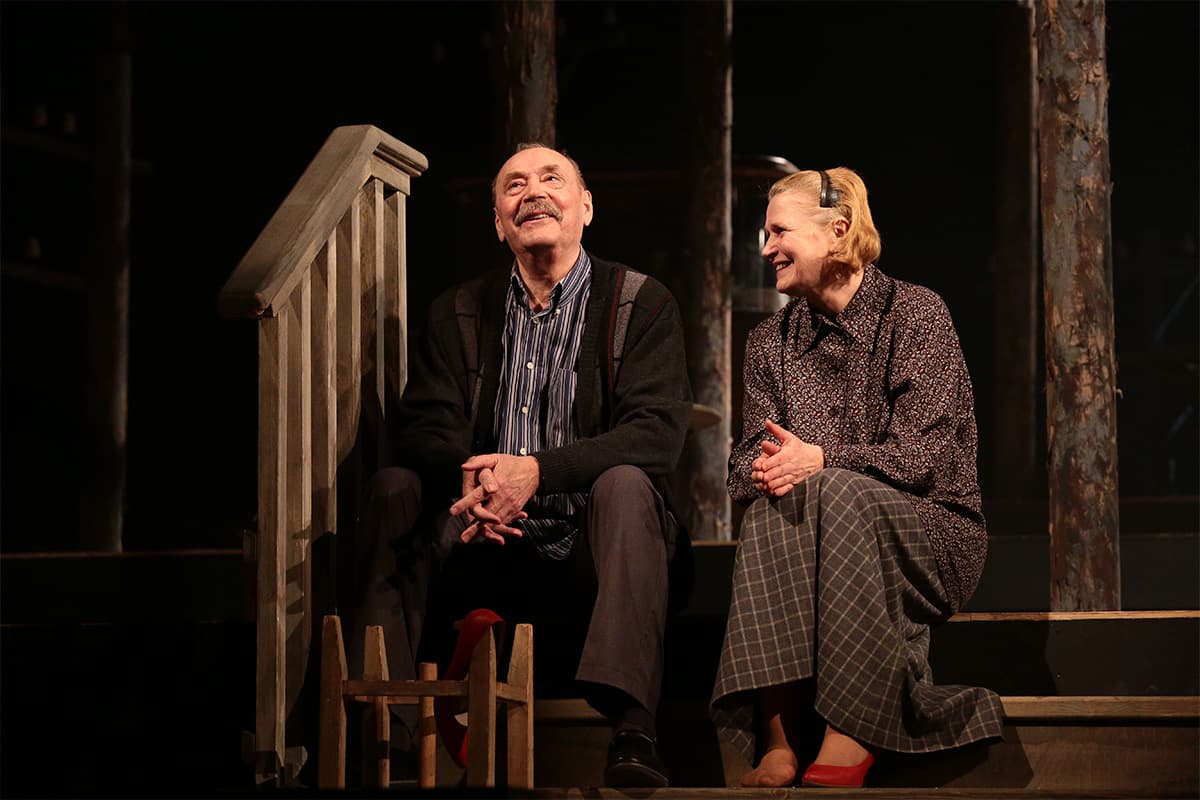 Земля Эльзы (Драматический театр им. Пушкина)