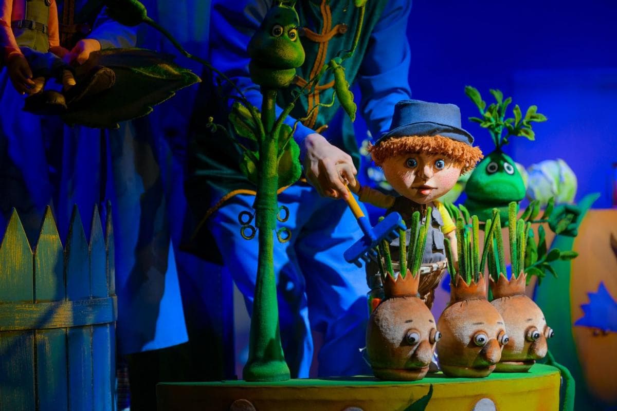 Огородный Подрастай (Арлекин)