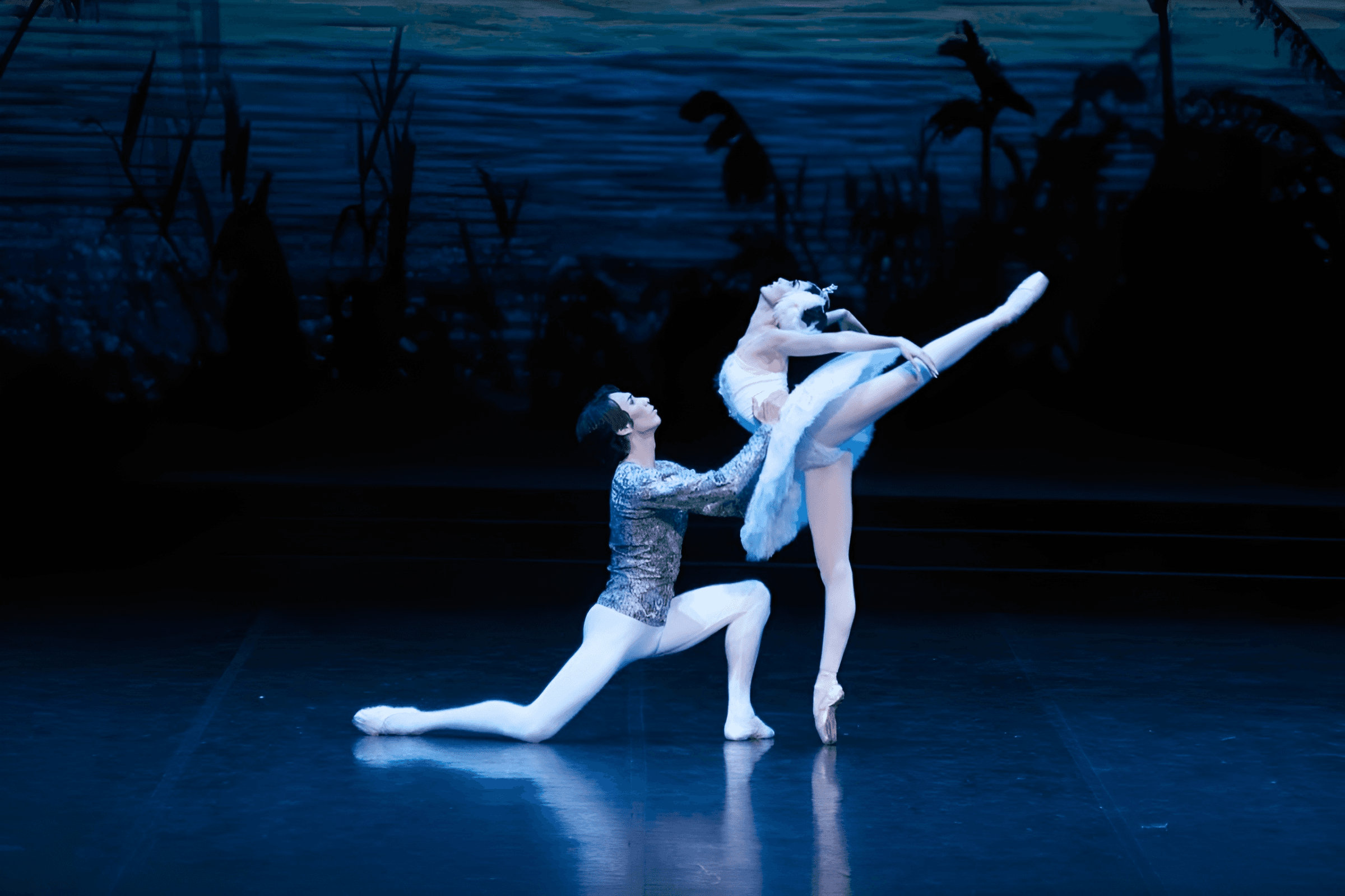 Лебединое озеро (Астана Опера)