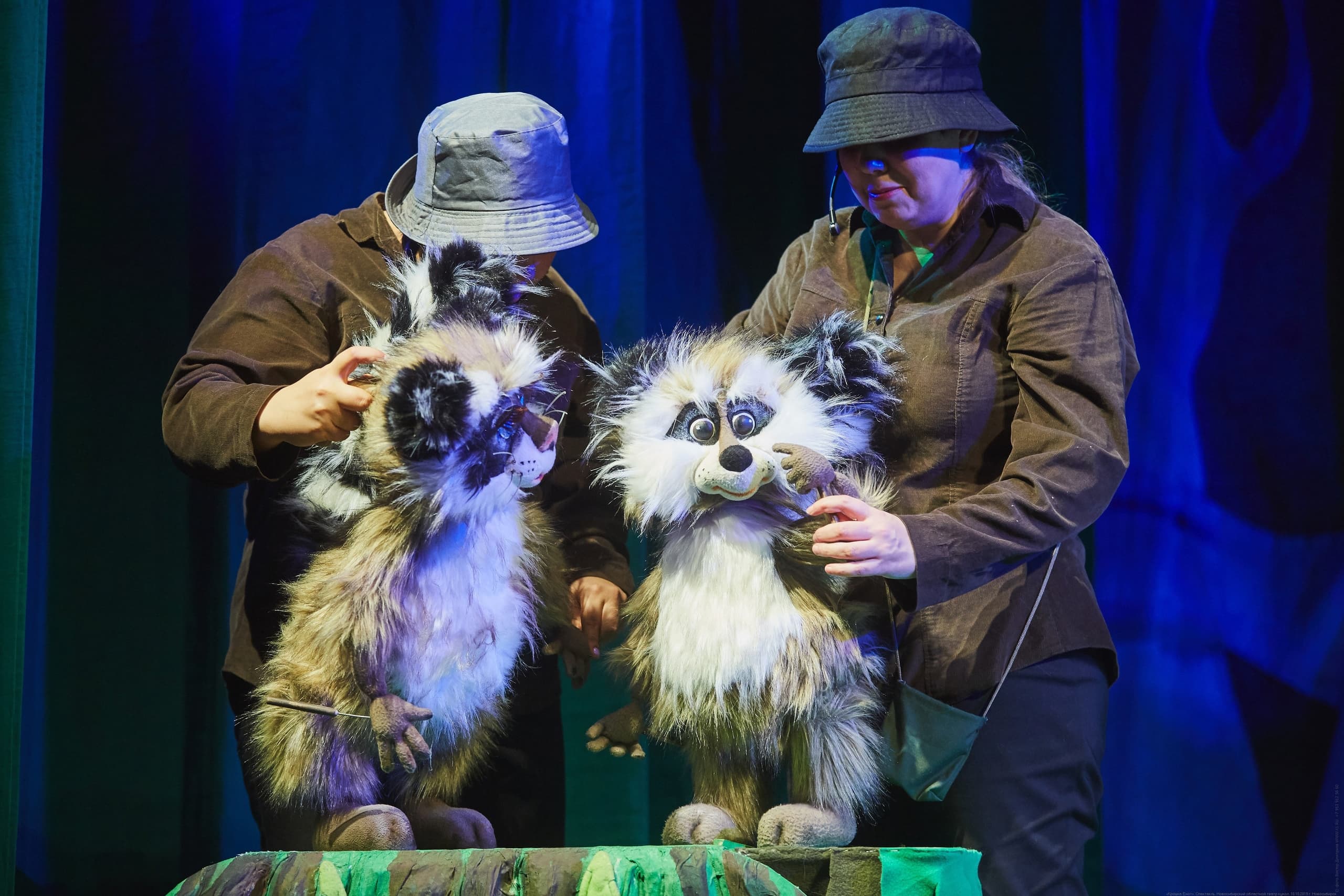 Крошка Енот (Областной театр кукол)