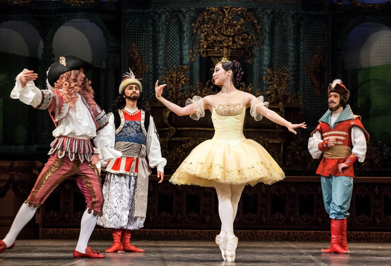 Спящая красавица (Музыкальный театр Республики Карелия)