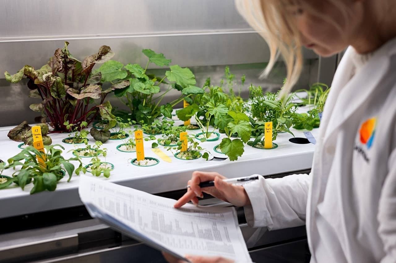 Флорариум. Как всё устроено (Зарядье)