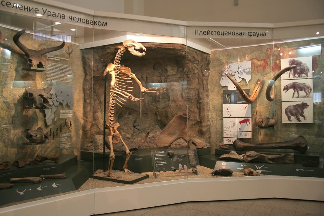 Три зала постоянной экспозиции музея Южного Урала (Исторический музей Южного Урала)