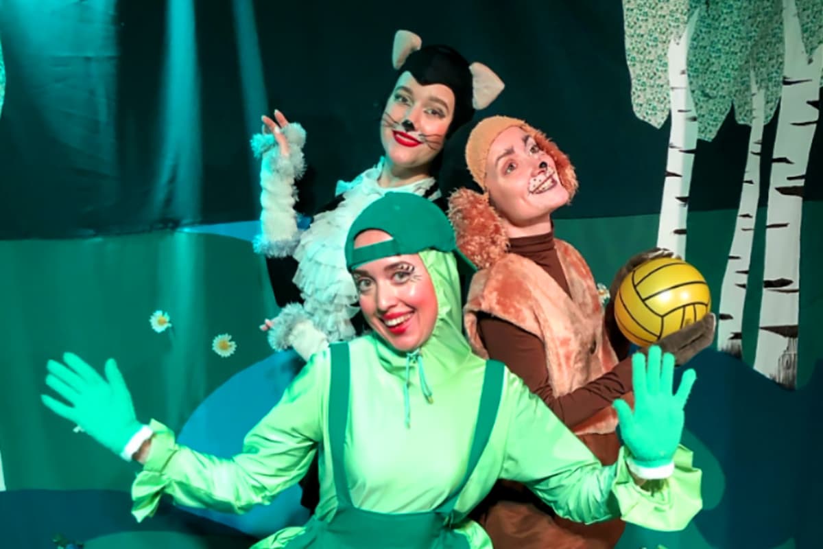 Кто же сказал «мяу» (Зазеркалье)