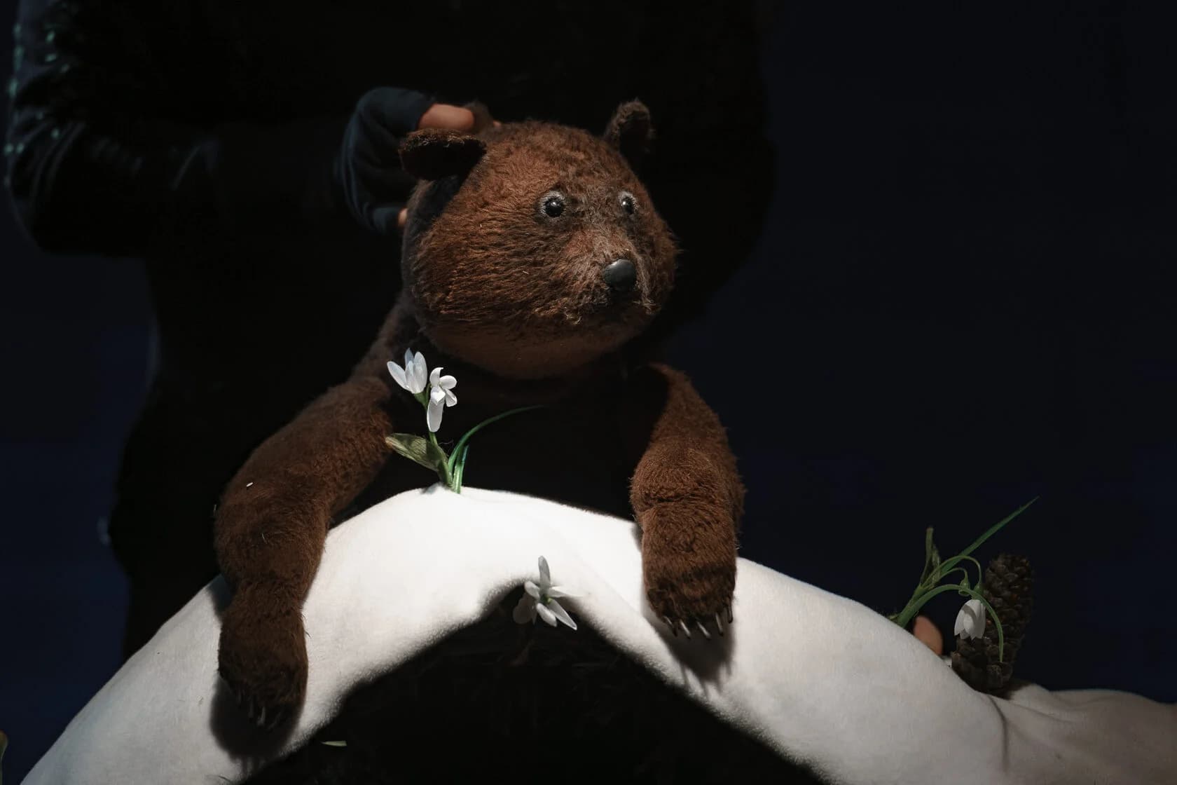 Я с тобой (Большой театр кукол)