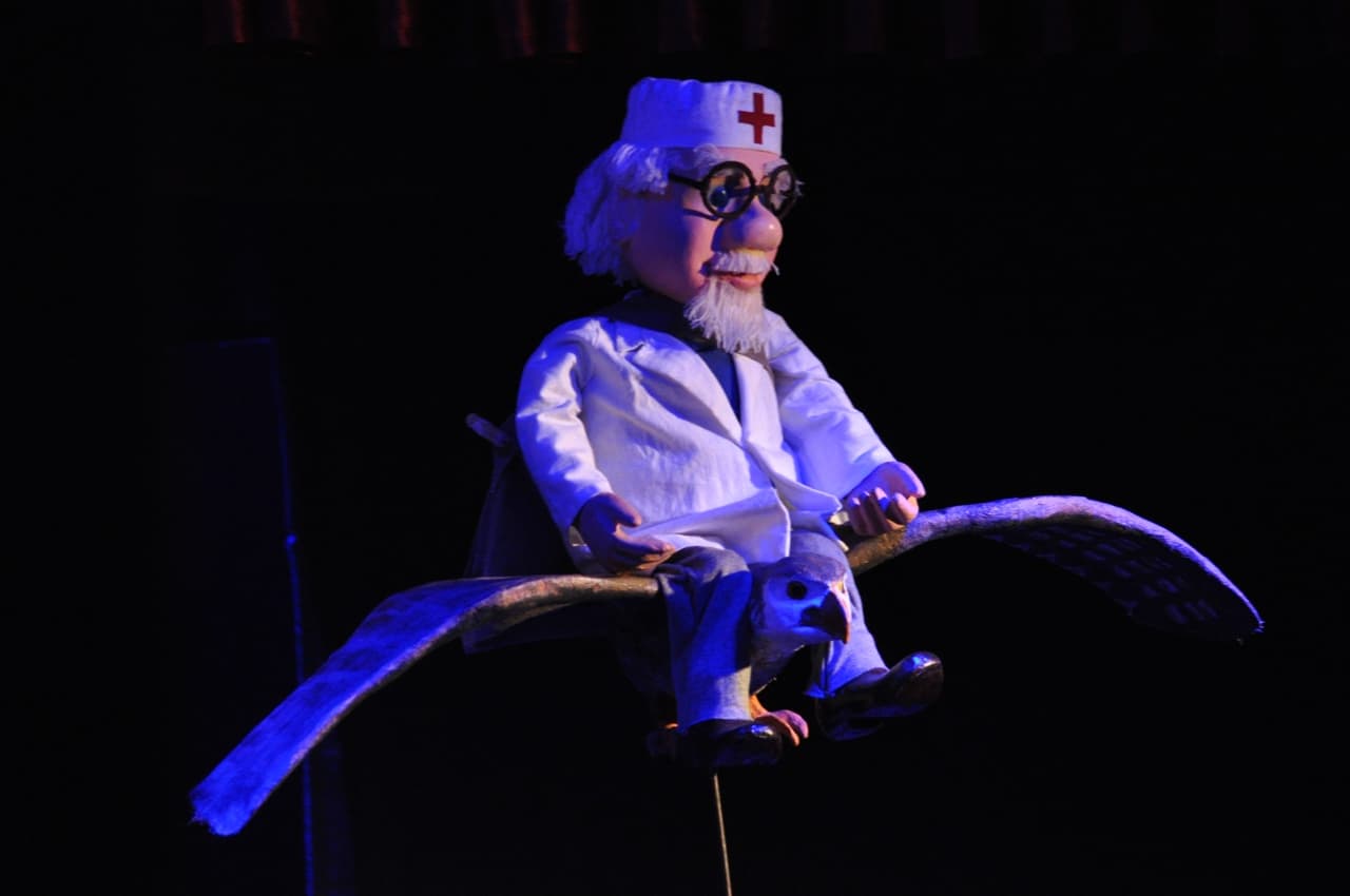 Айболит (Зазеркалье)