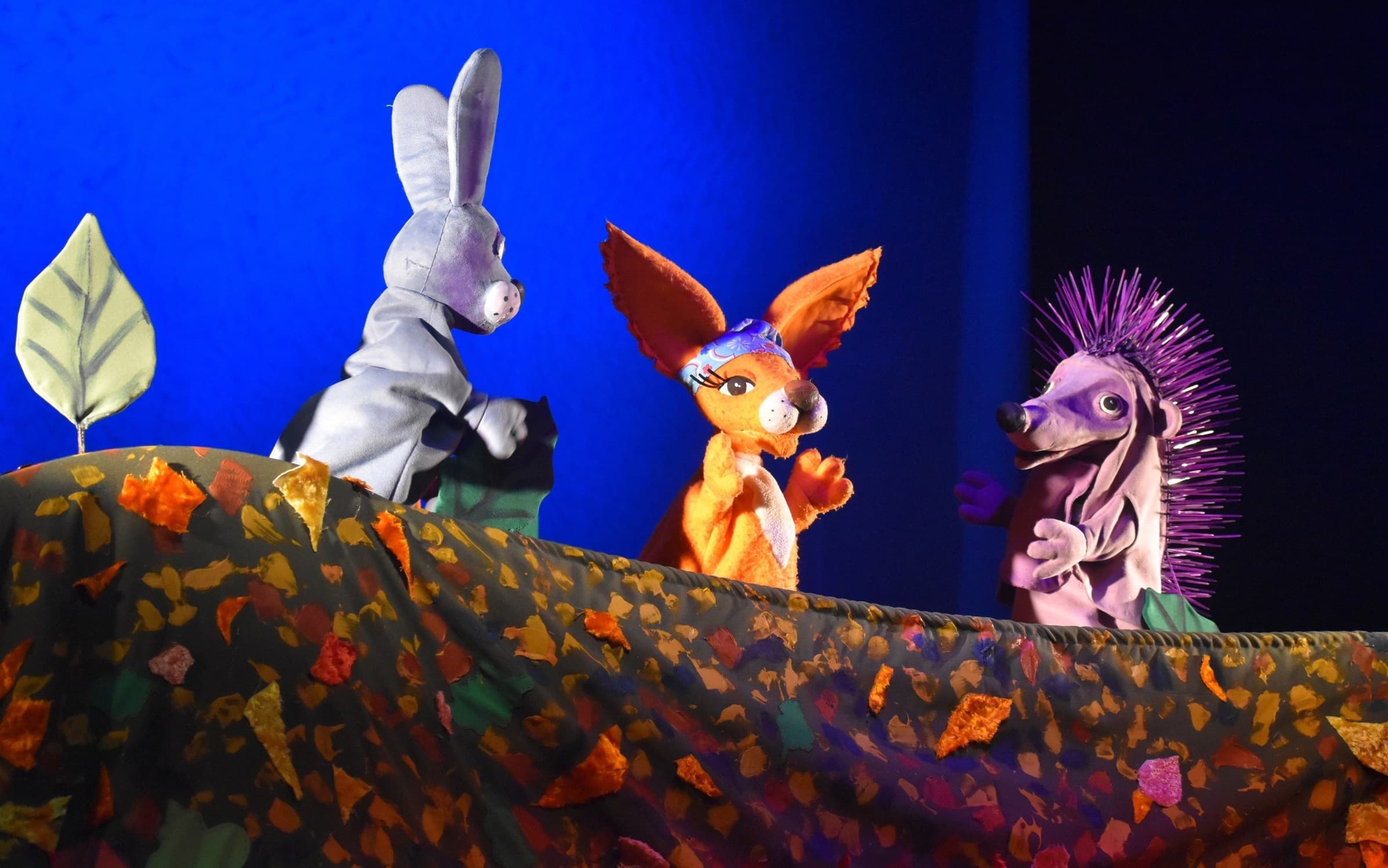 Не ёжик (Театр кукол Кузбасса им. Аркадия Гайдара)