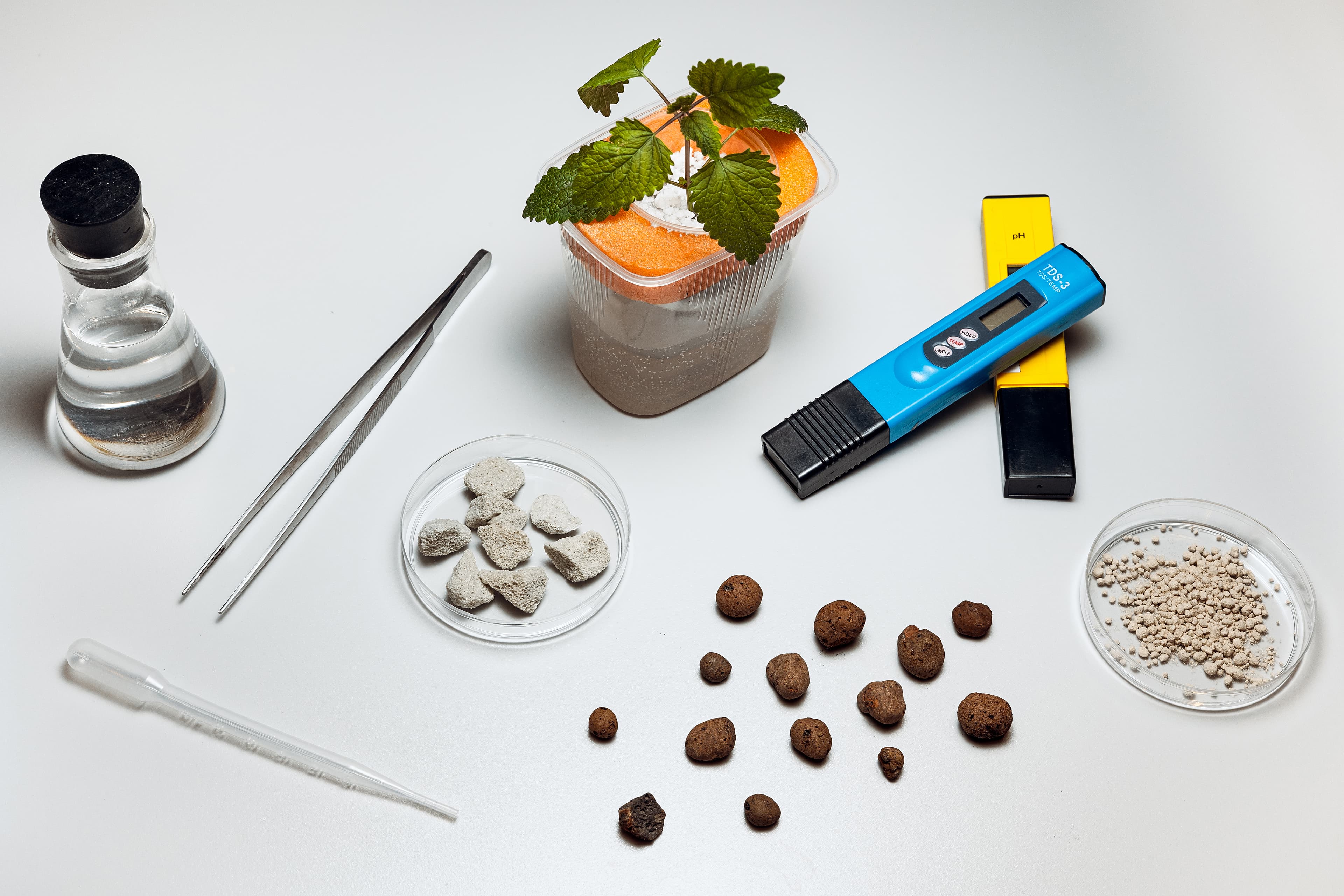 Сити-фермер (Зарядье)