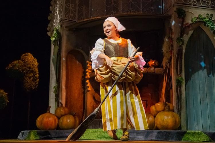 Золушка (Театральный центр «Вишнёвый сад»)