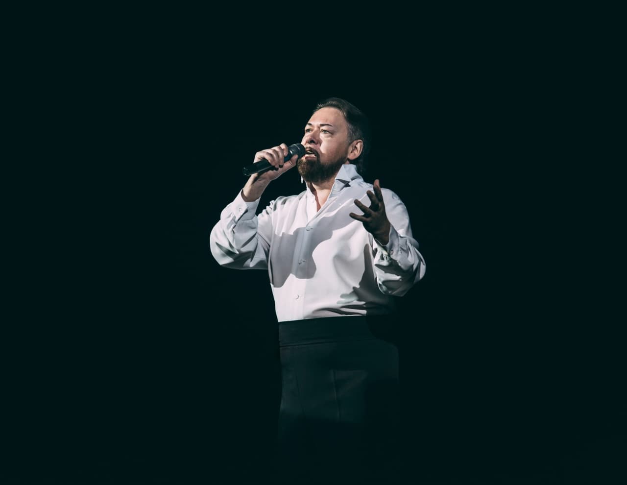 Северные птицы (Драматический театр им. Пушкина)