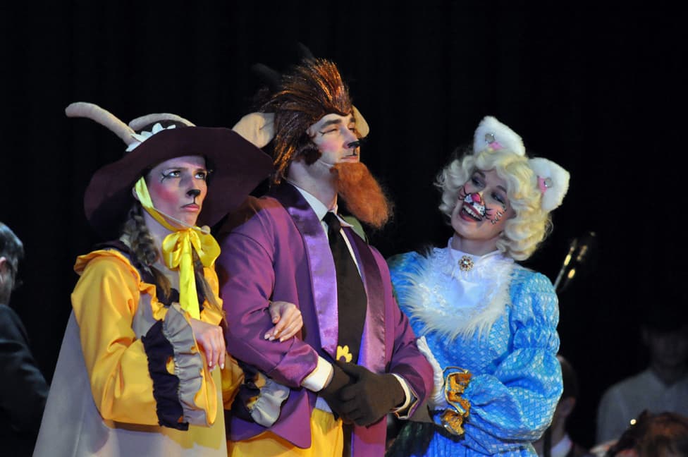 Кошкин дом (Зазеркалье)