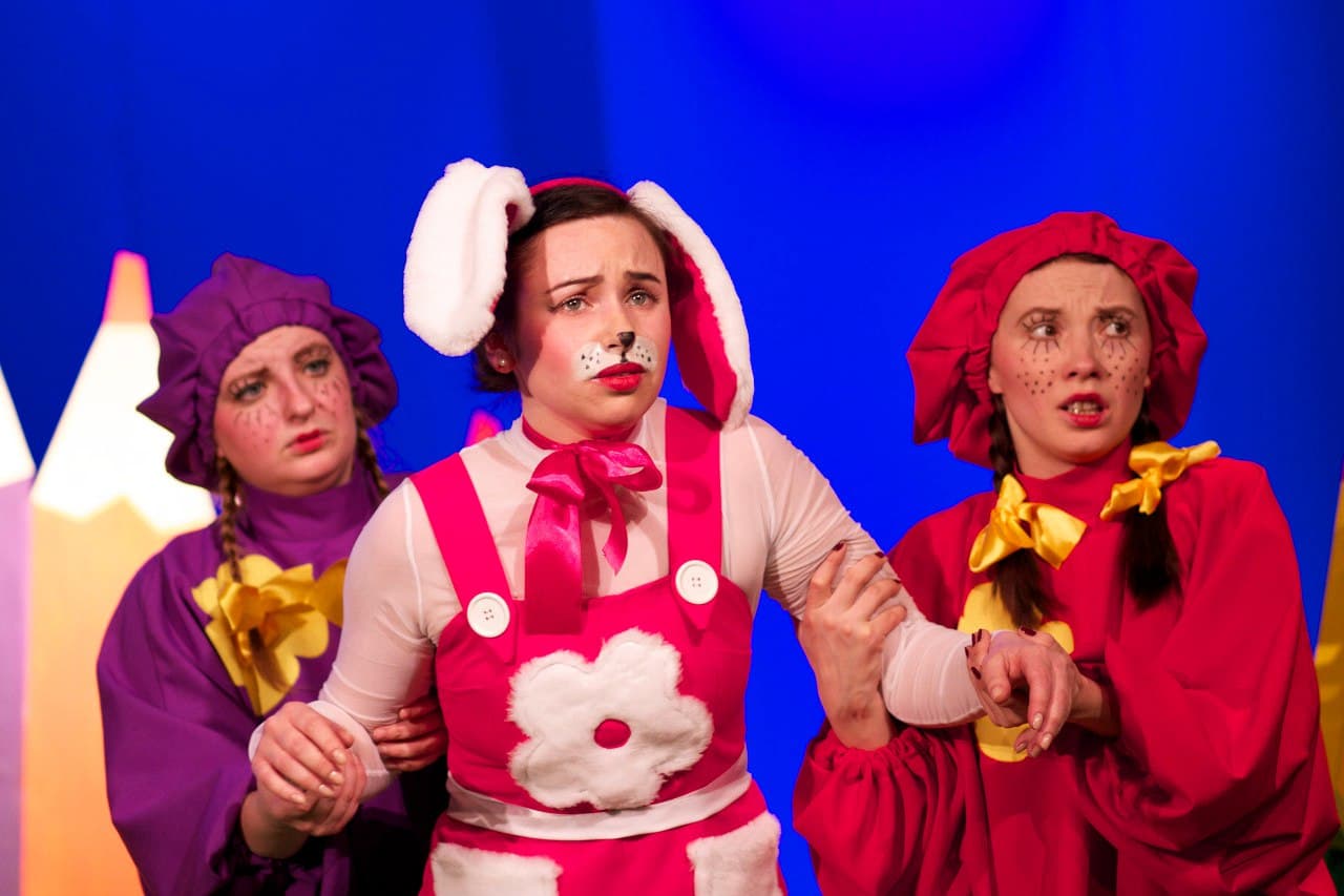 Не хочу быть собакой (Тамбовский молодёжный театр)