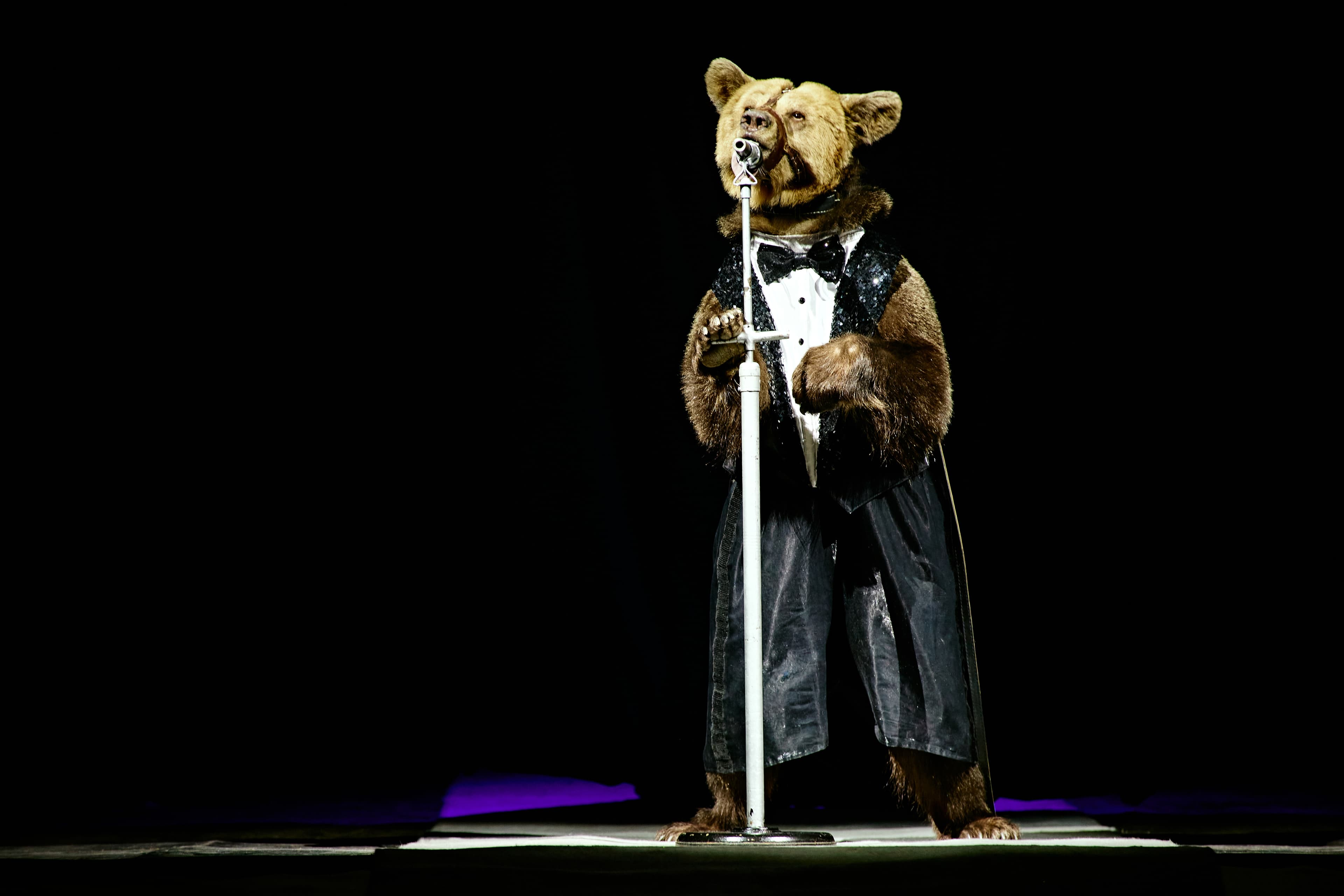 Цирк Филатовых (Цирк)