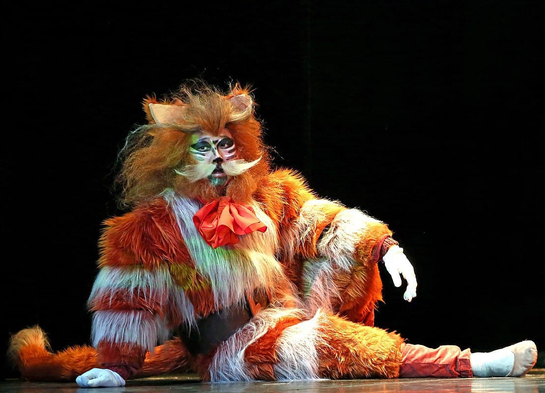 Кот в сапогах (Санктъ-Петербургъ Опера)