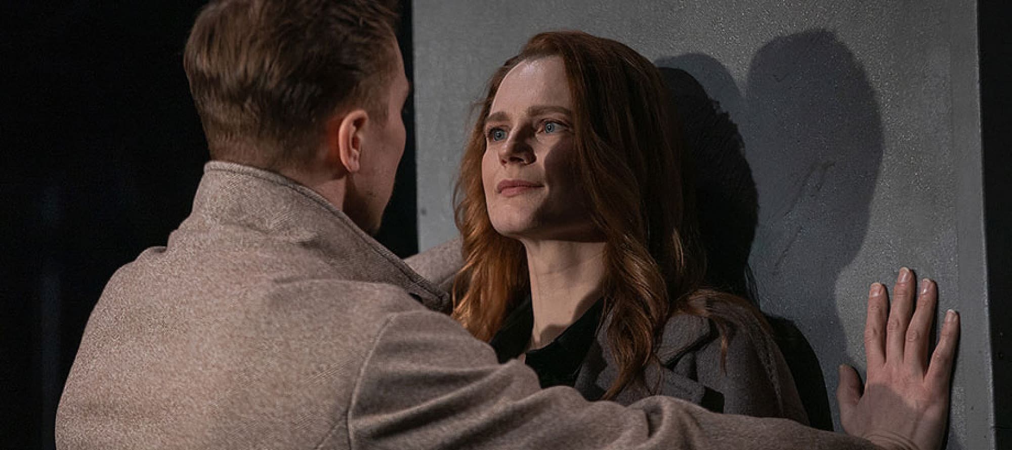 Бовари (Театр драмы им. Пушкина)