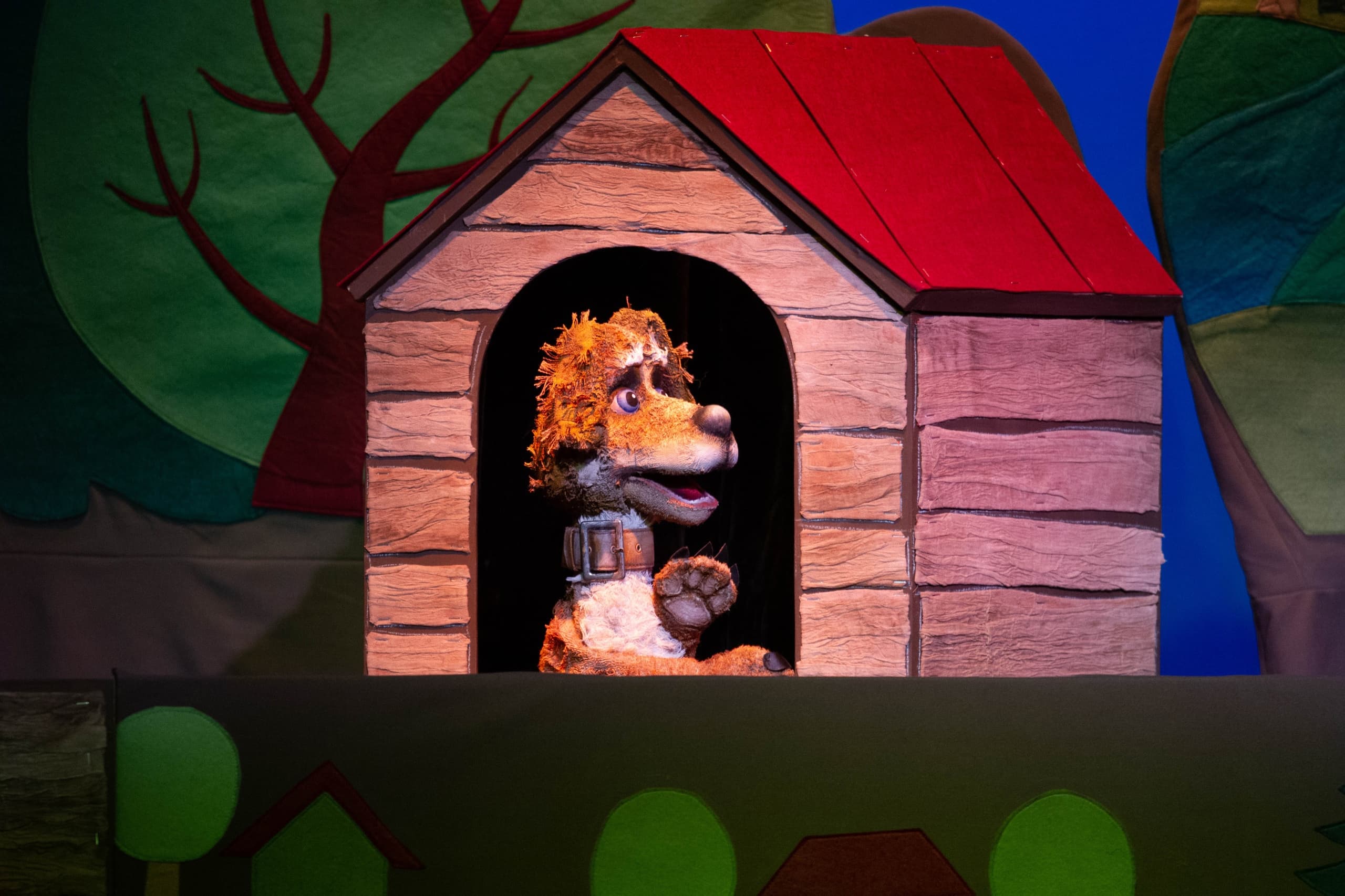 Авыл эте Акбай / Деревенский пёс Акбай (Экият)