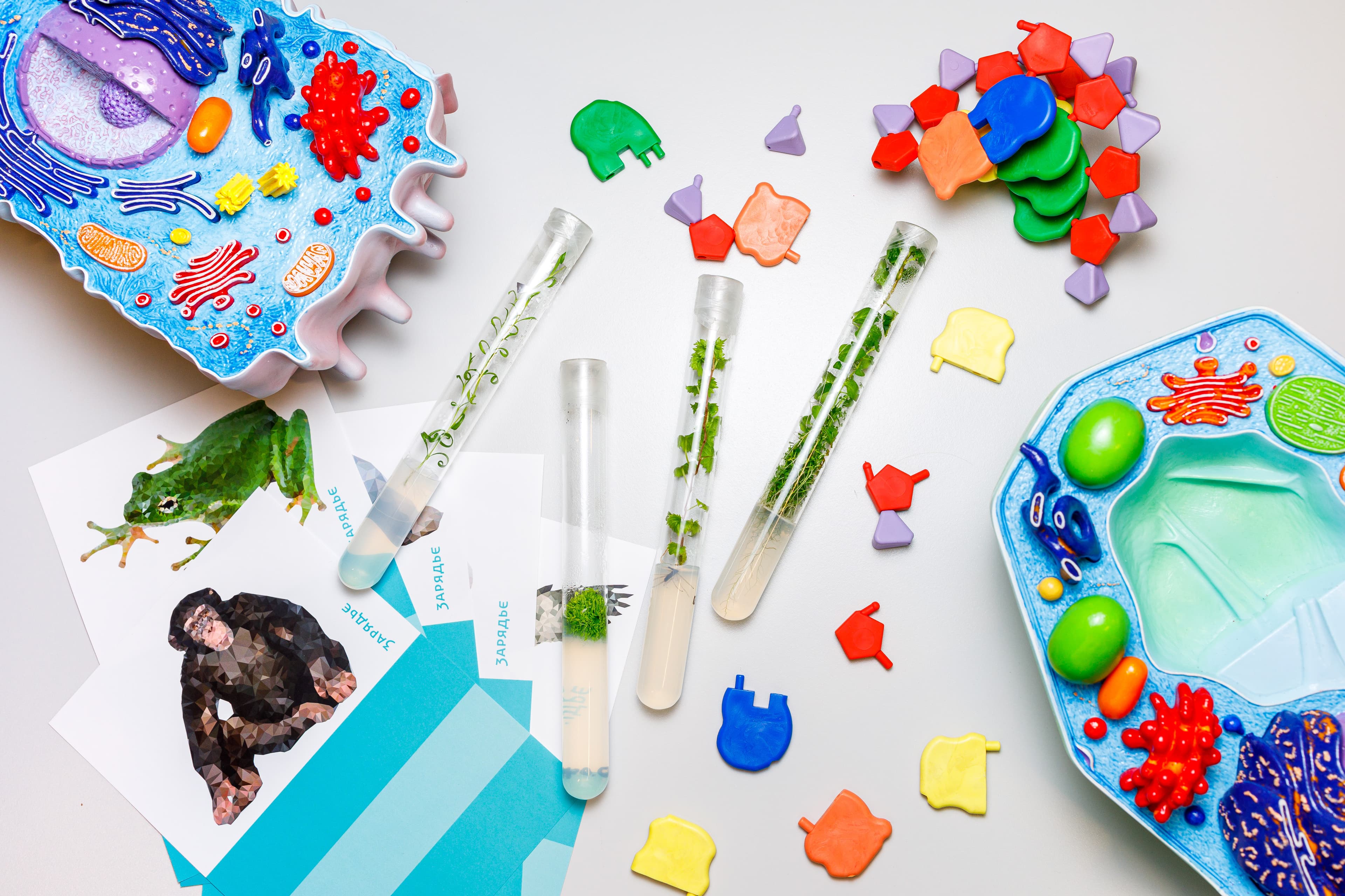 Тайны биотехнологии (Зарядье)