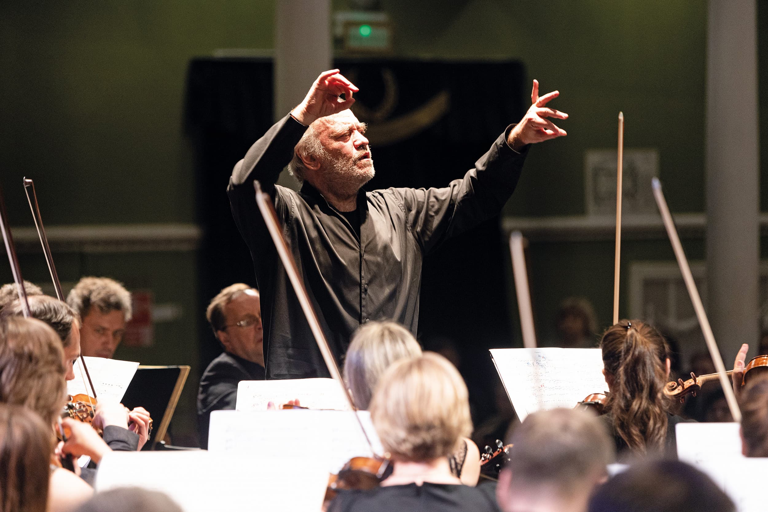 Симфонический оркестр Мариинского и Большого театров (Филармония)