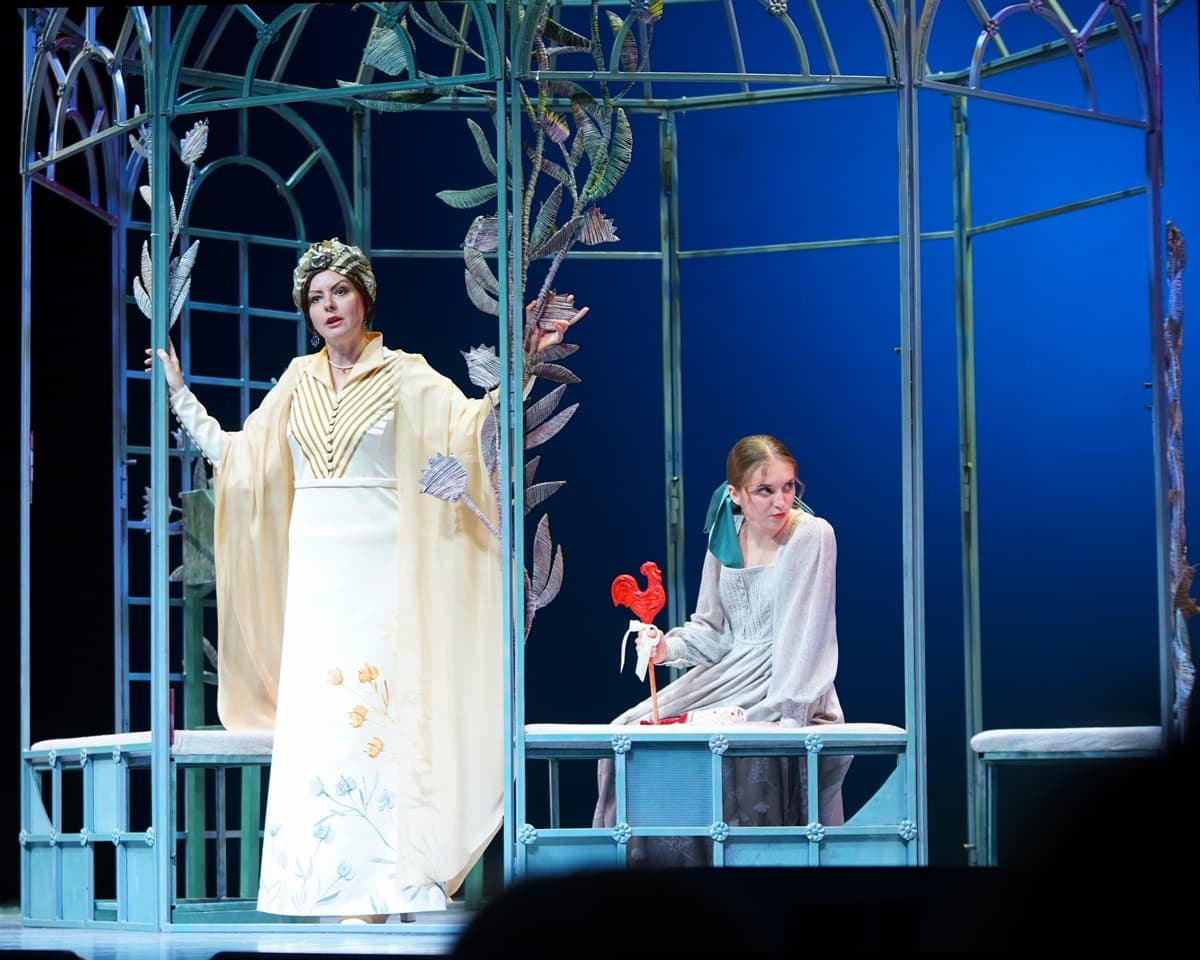 Не всё коту масленица (Театр Защитника Отечества)