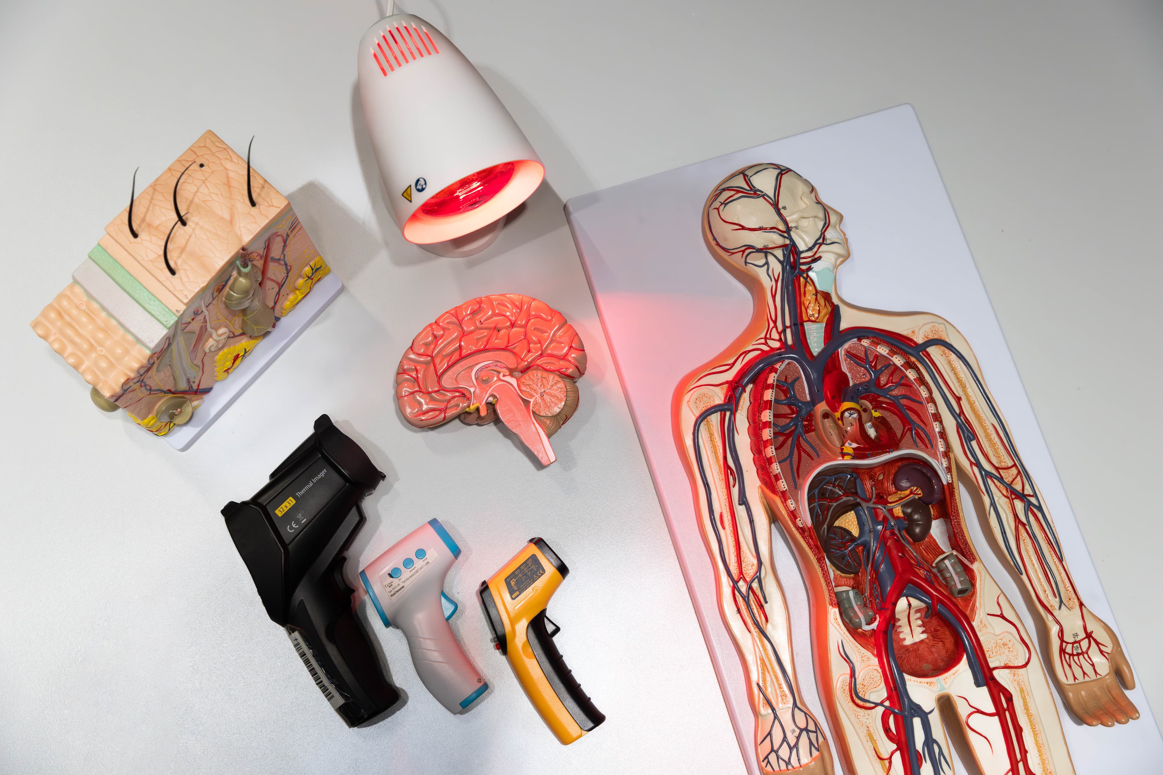 Секреты теплокровных (Зарядье)