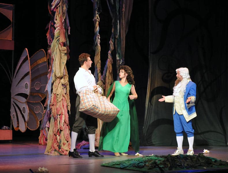 Игра любви и случая (Музыкальный театр)