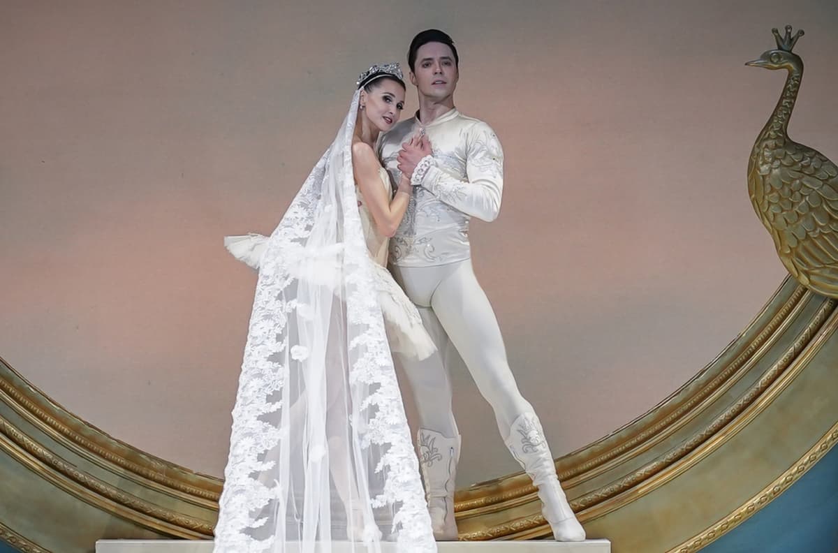 Спящая красавица (НОВАТ)