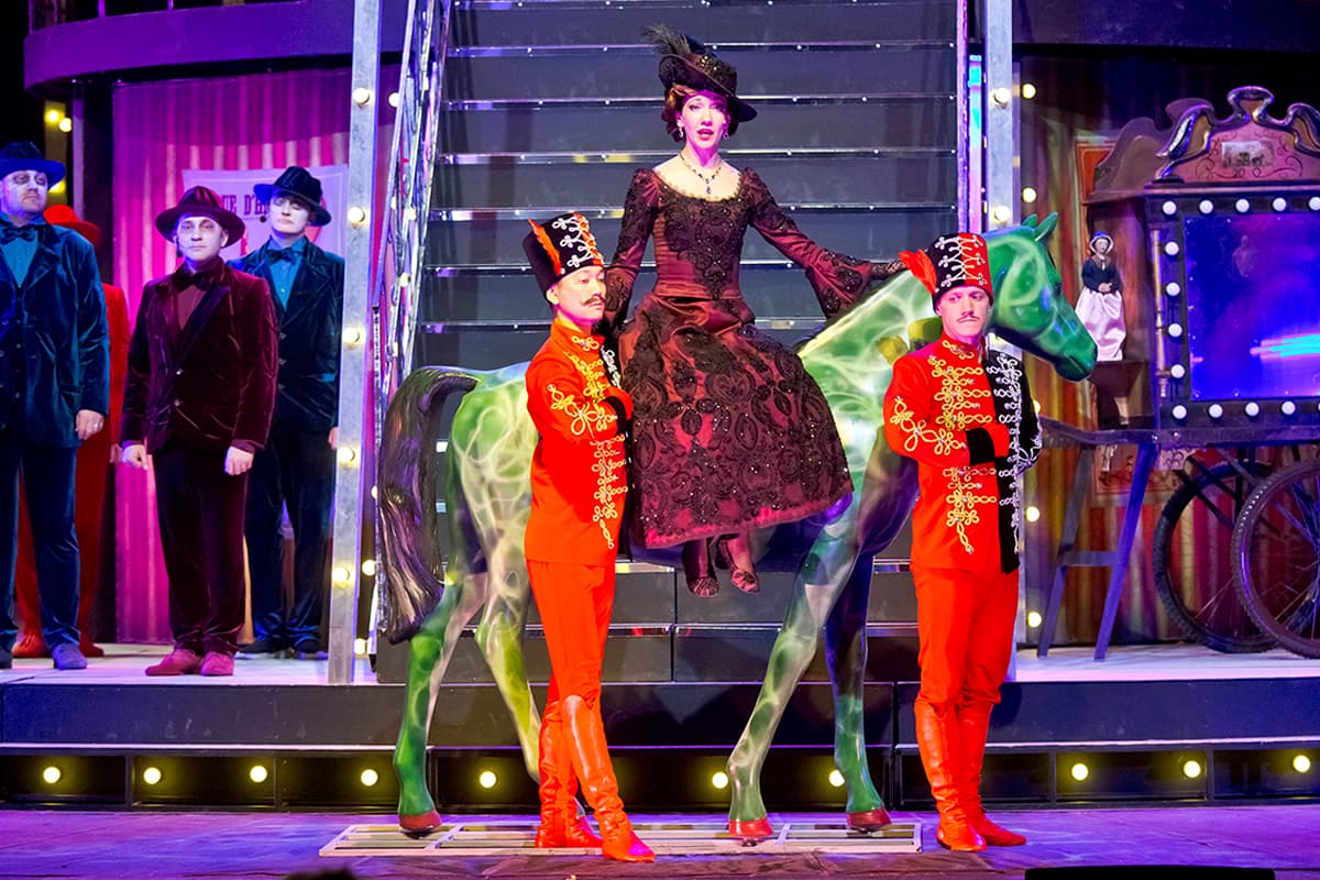 Мистер Икс (Музыкальный театр)