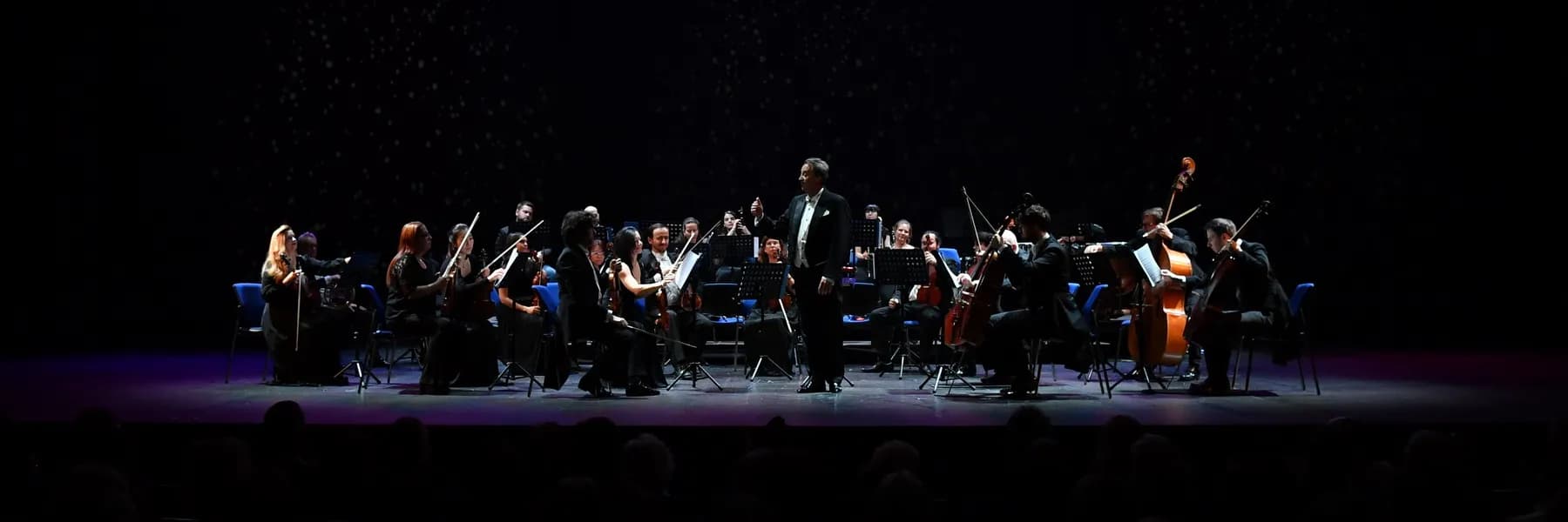 Vienna Strauss Philharmonie Orchestra (Филармония им. Рахмадиева)