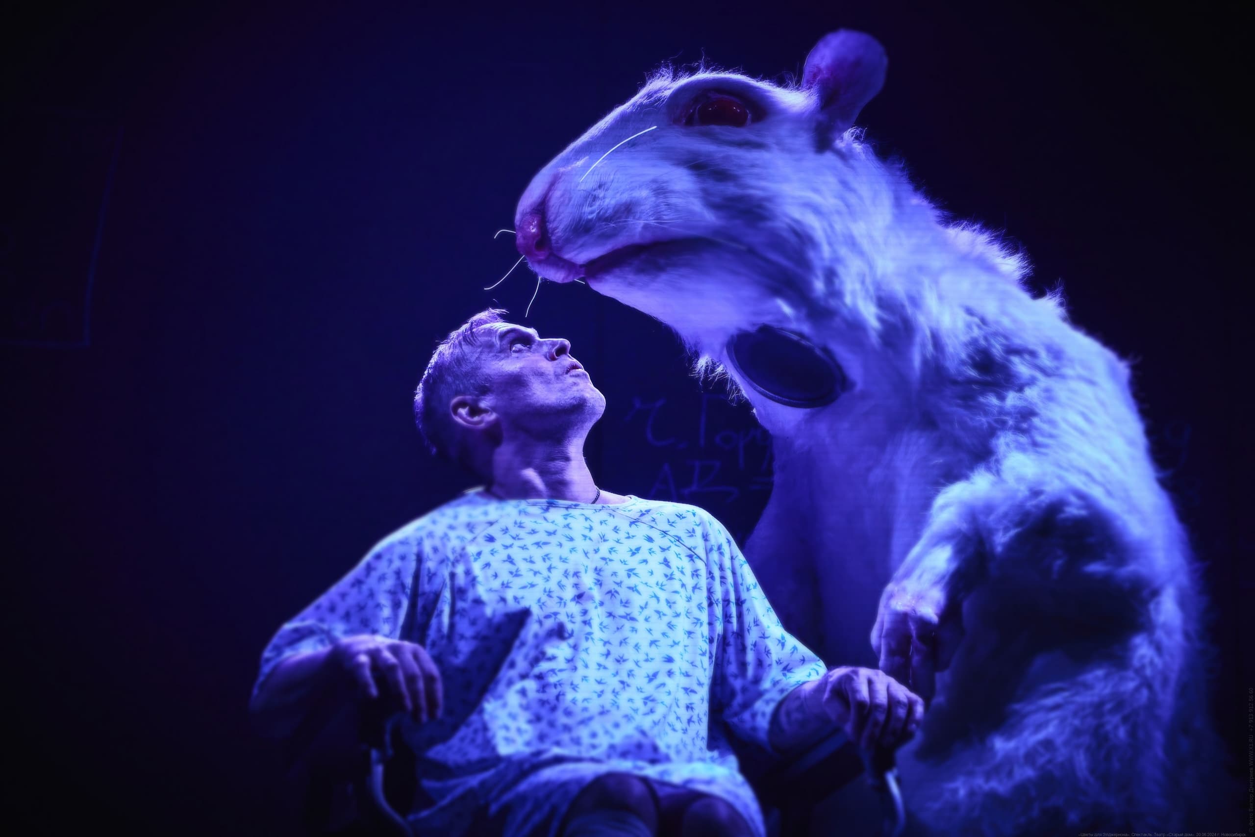 Цветы для Элджернона (Старый дом)