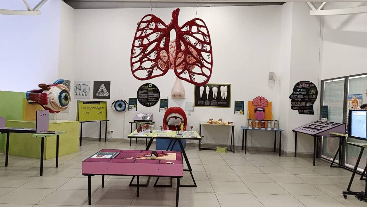 Анатомикум (Анатомикум)