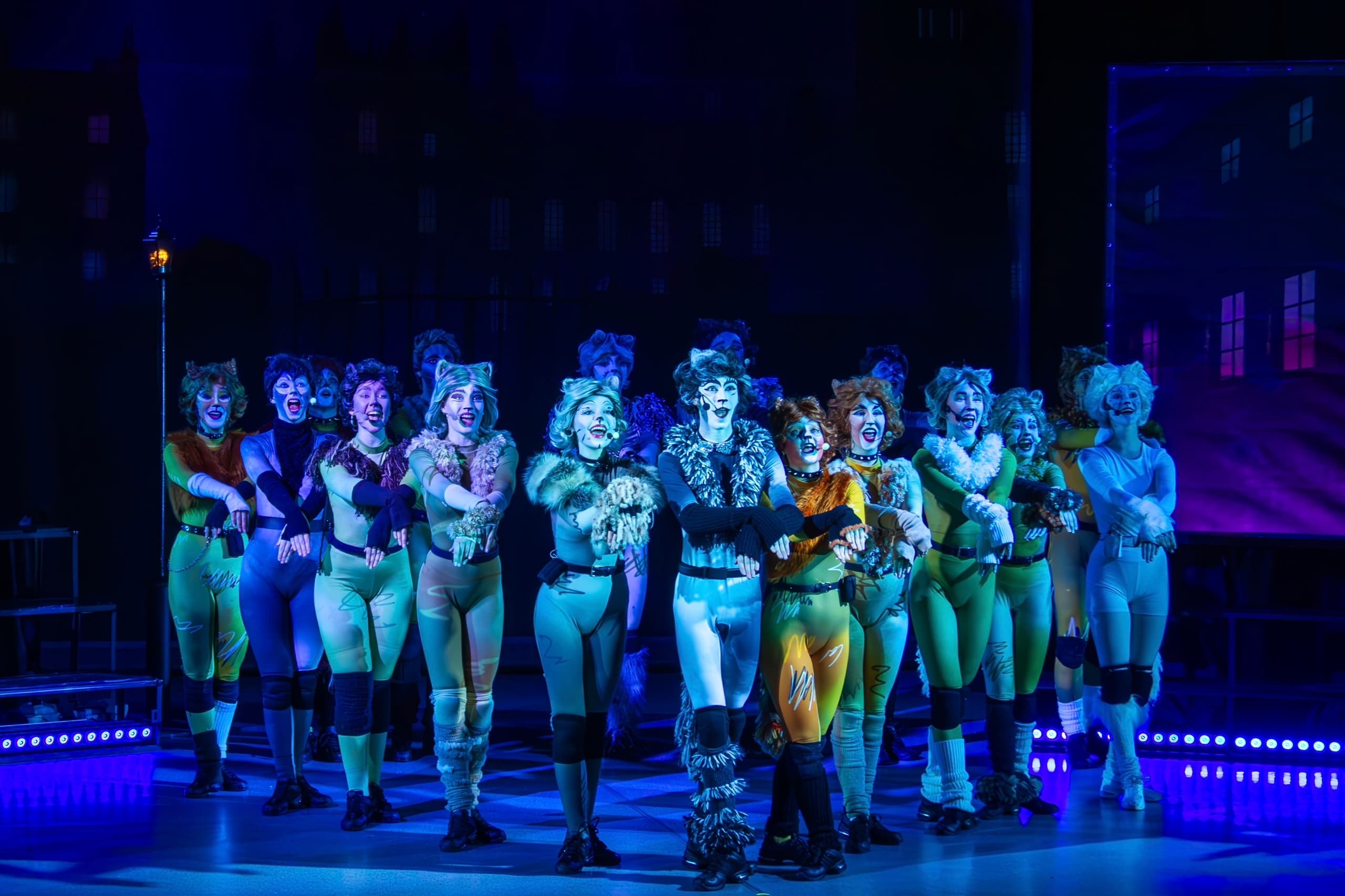 Кошки (Екатерининское собрание)