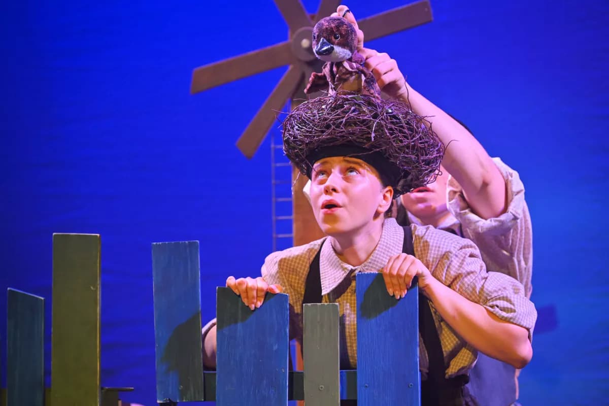 Лесная сказка (Арлекин)