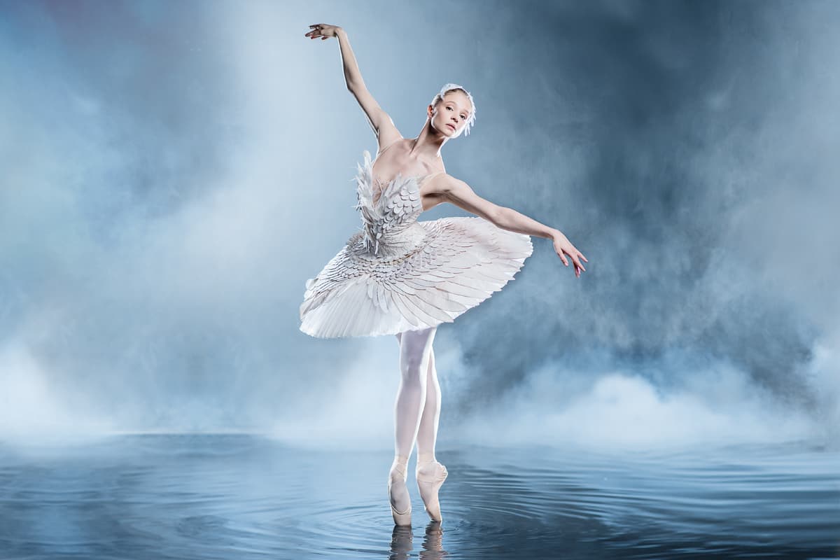 Лебединое озеро (Михайловский театр)