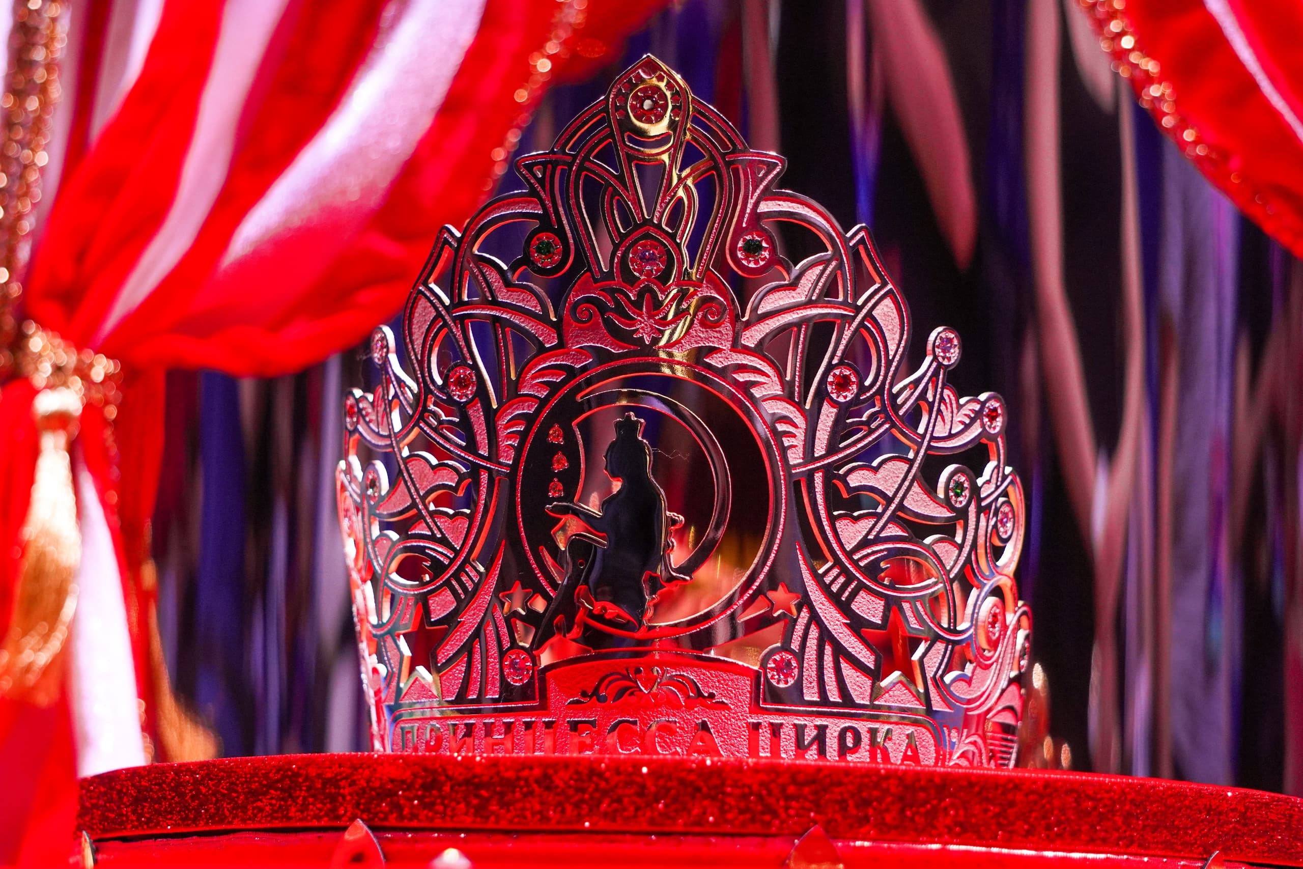 Фестиваль циркового искусства «Принцесса цирка» (Цирк им. братьев Никитиных)