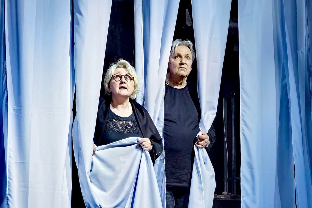 Земля Эльзы (Театральный центр «Вишнёвый сад»)