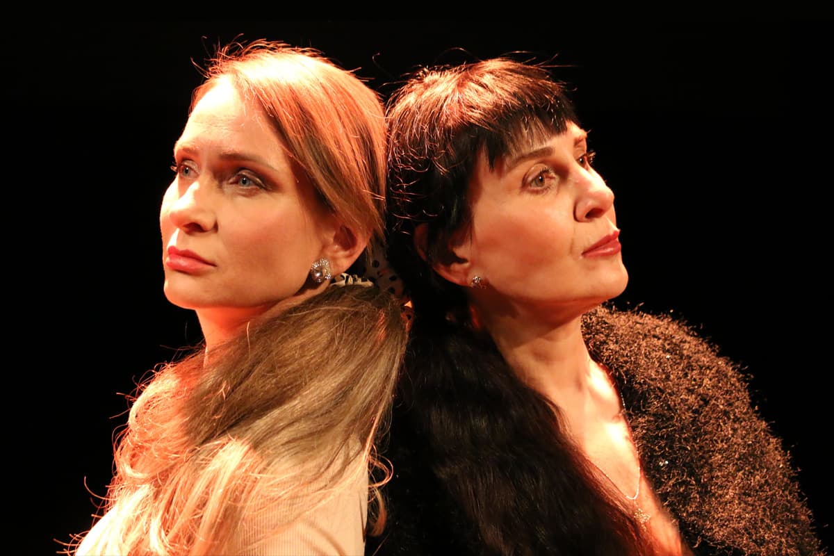 Goodbye, America! (Гадкий койот)