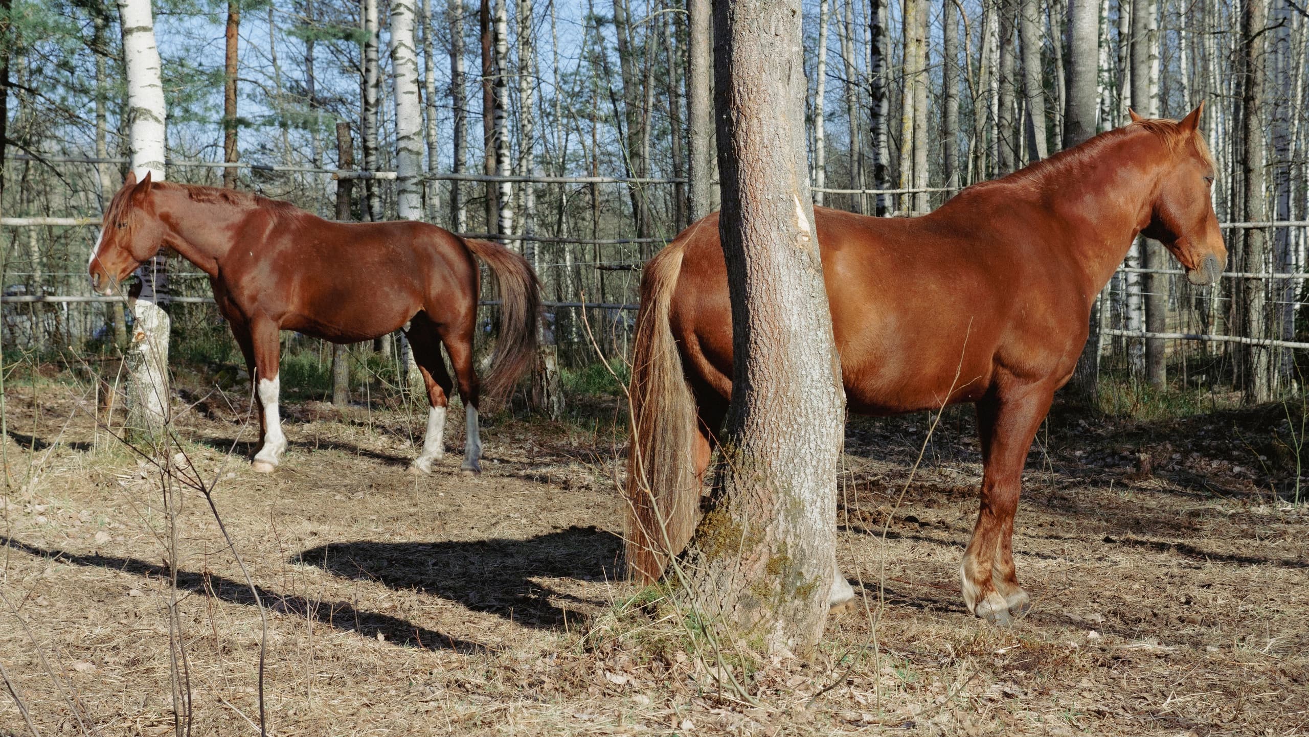 Евгений Ткачук. Природа перезагрузки (ВелесО)