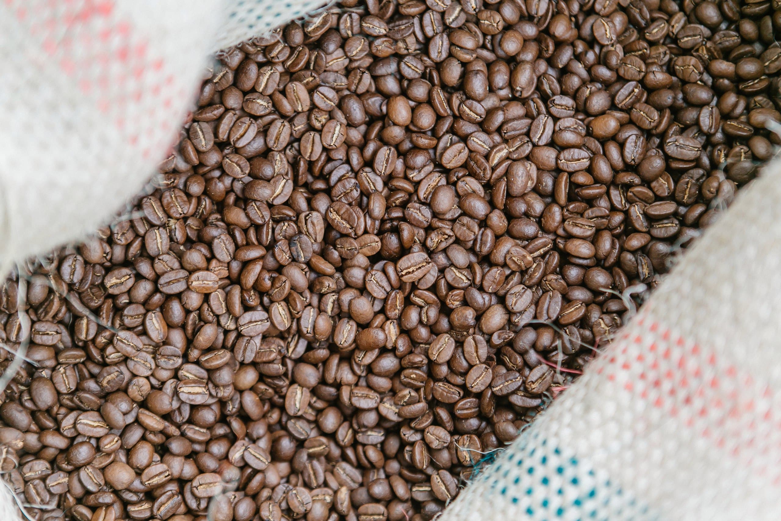Экскурсия, лекция и каппинг на производстве BunaCoffee (Buna Coffee)