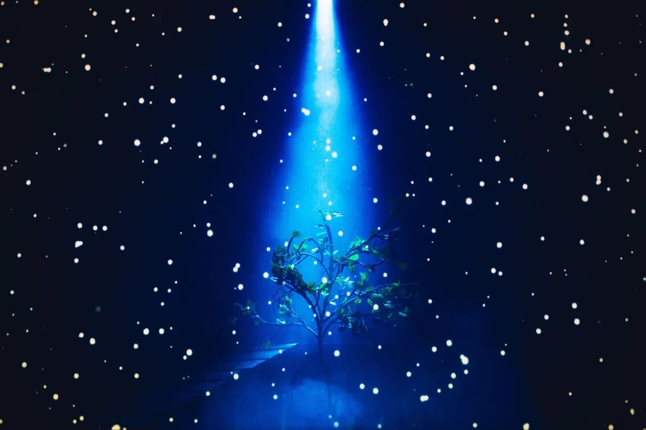 Любовь и голуби (ДК профсоюзов)