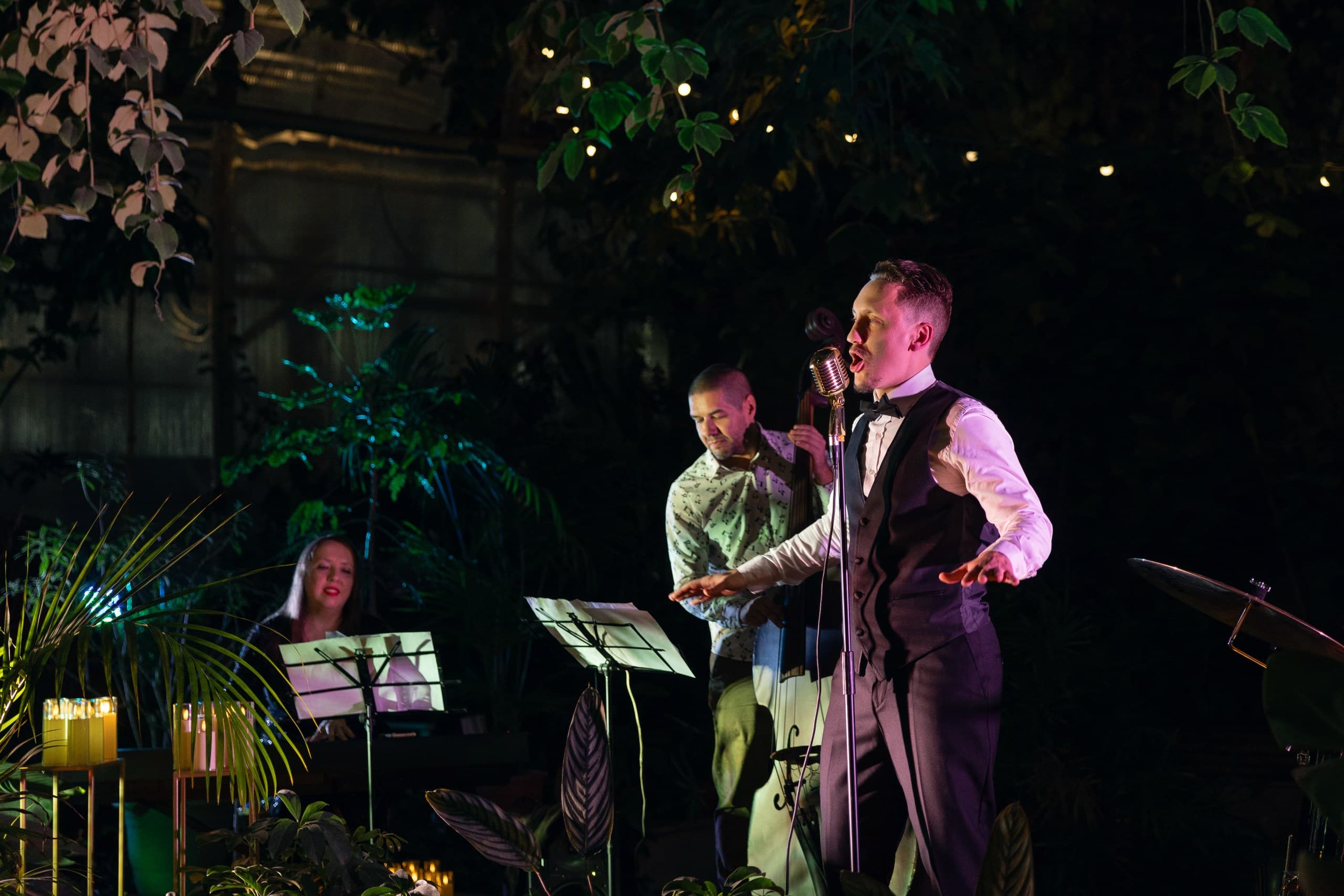 Магия свечей. Трибьют Sting в оранжерее (Оранжерея Таврического сада)