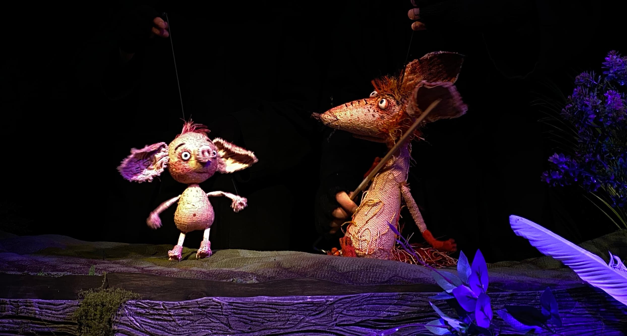 Приключения Лиса и Поросёнка (Кукольный формат на Петроградке)