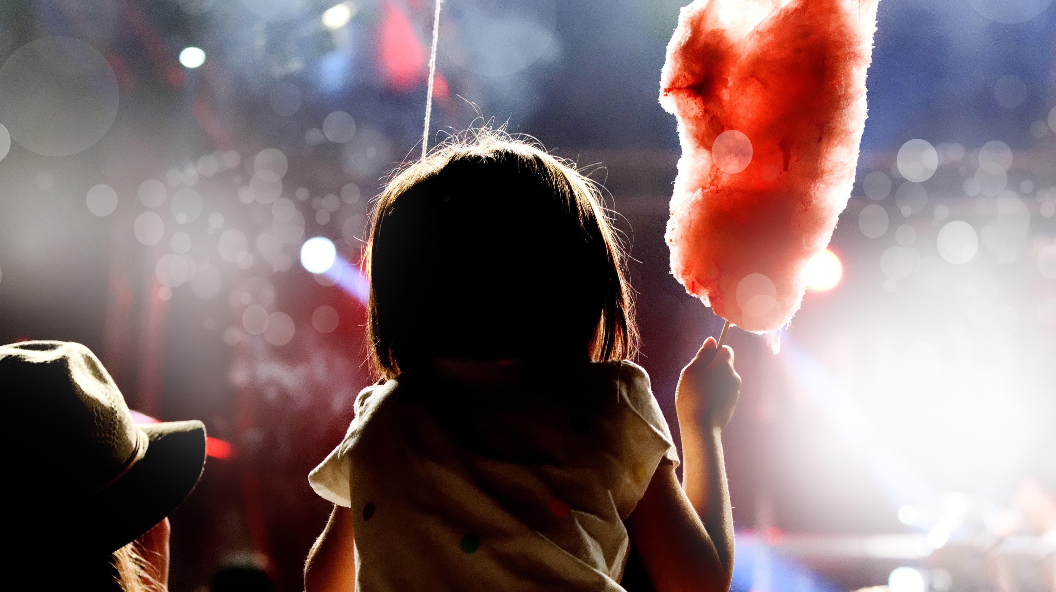 Кошкин дом (Театр музыкальной комедии)