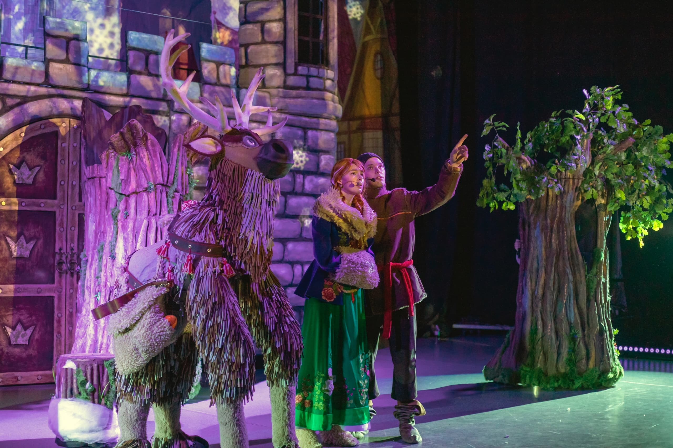 Ледяное сердце (Екатерининское собрание)