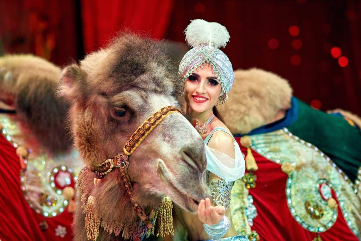 Тропик-шоу (Цирк)