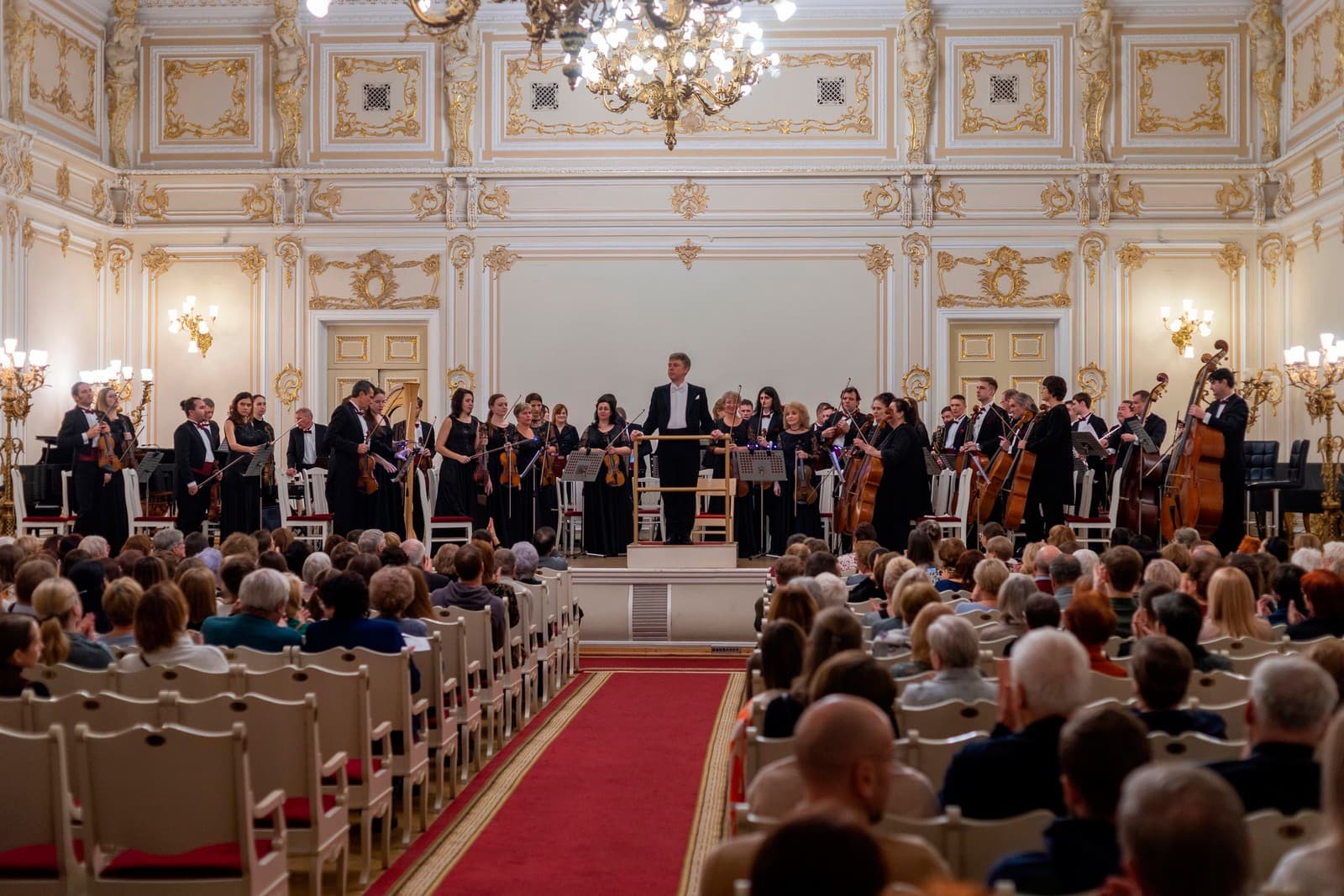 Губернаторский симфонический. Венская классика (Филармония им. Шостаковича. Малый зал)