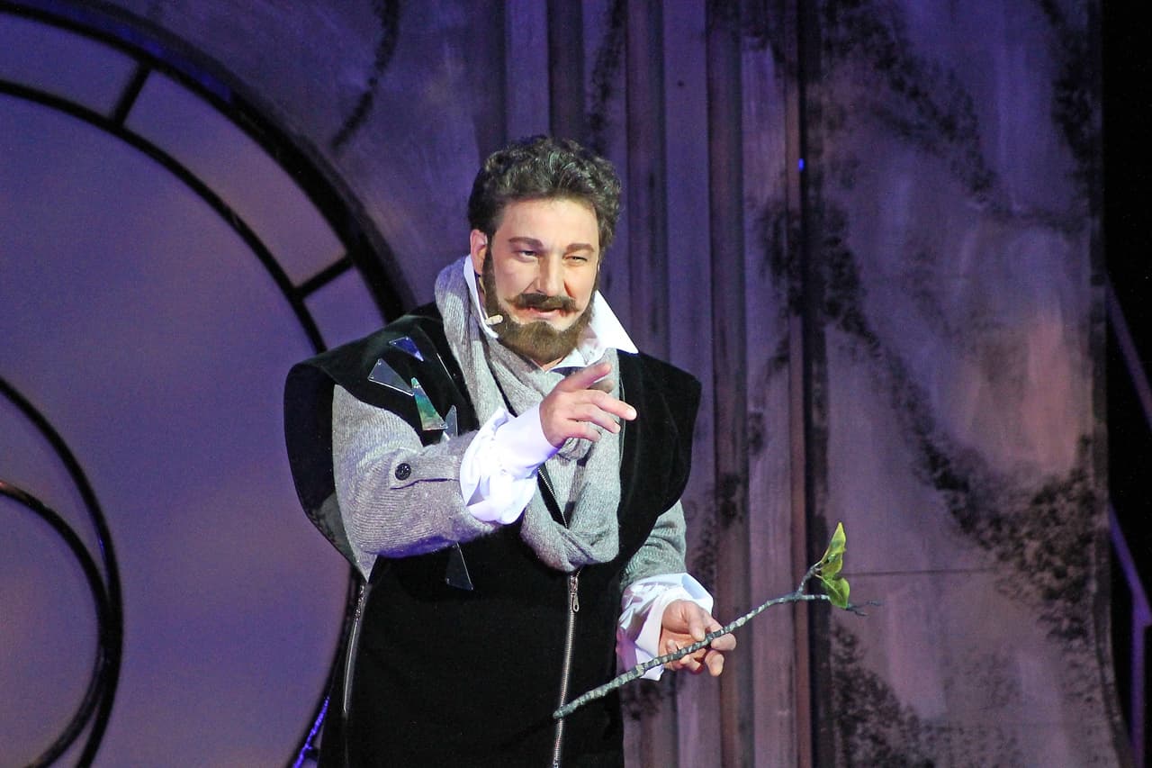 Обыкновенное чудо (Музыкальный театр)