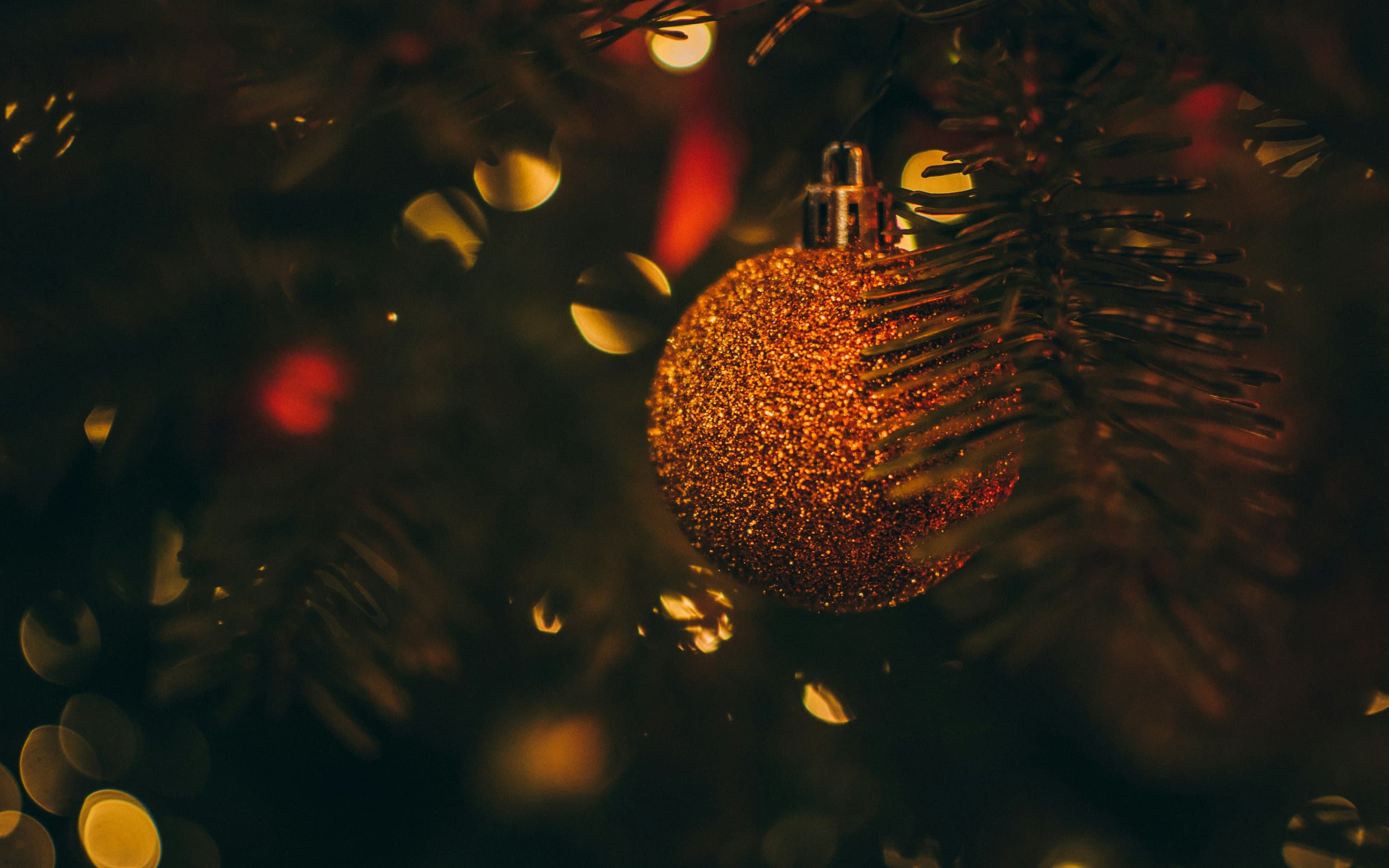 Happy New Year. Концерт при свечах (Оранжерея Таврического сада)