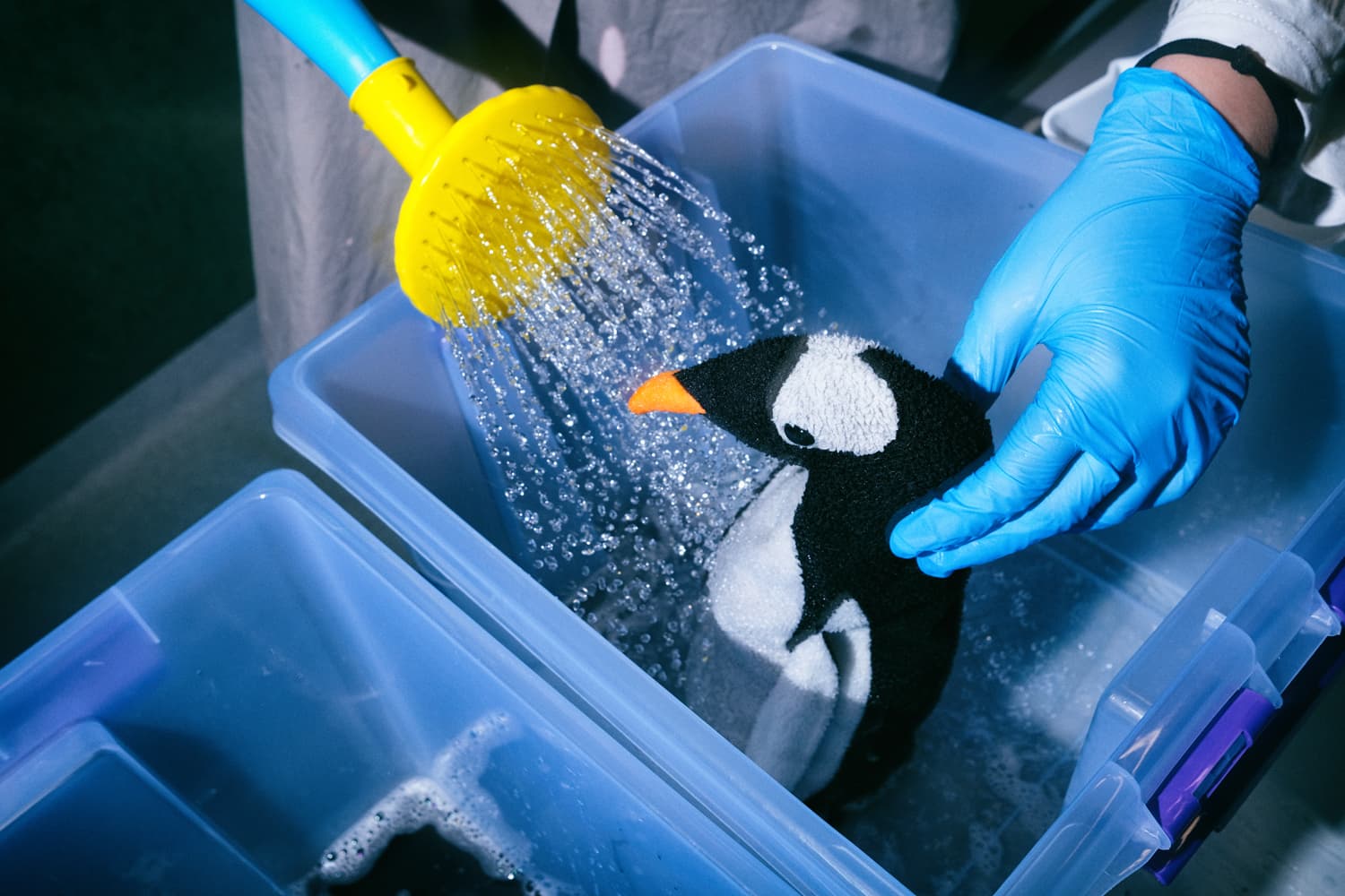 Спасти планету (Частная школа Top IT)