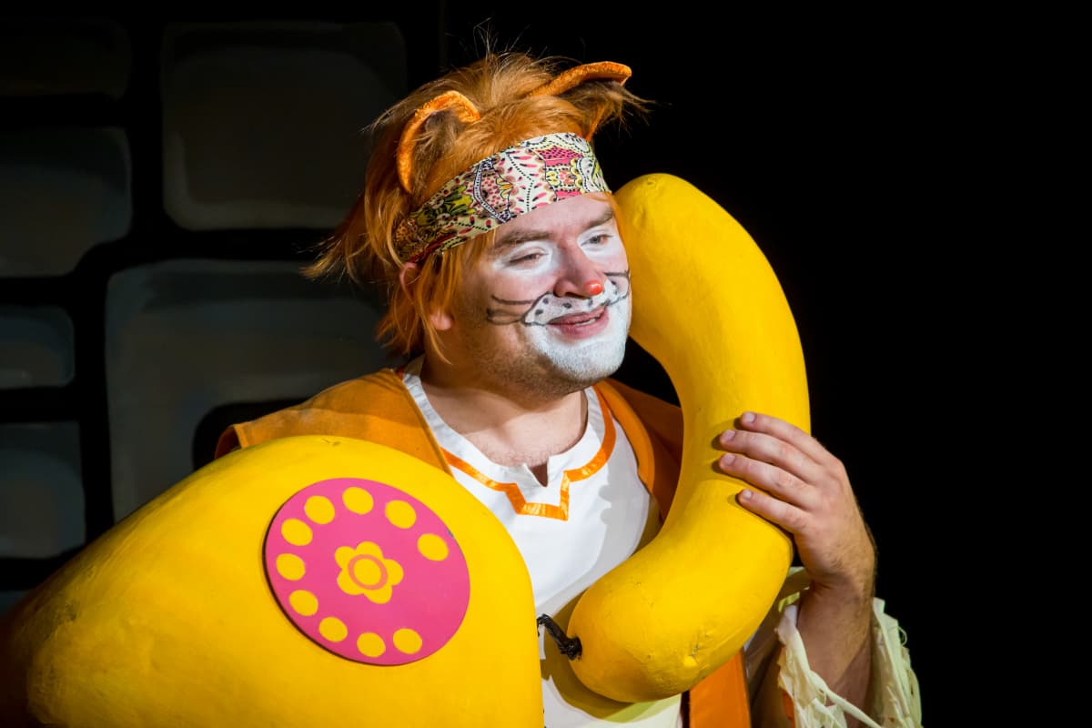 Вечеринка у кота Леопольда (Драматический театр им. Кирова)