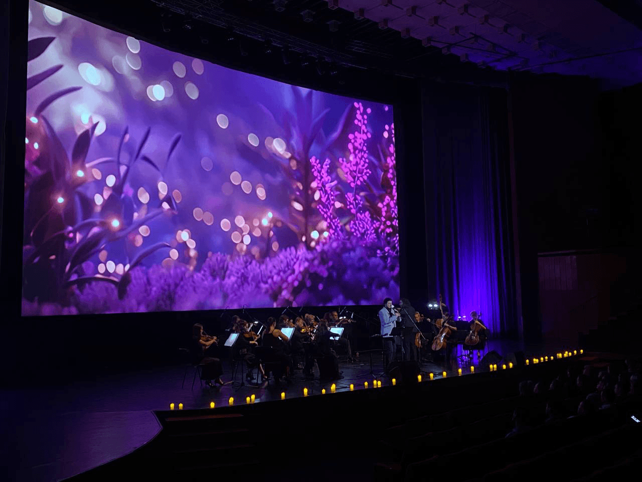 Дудук с оркестром. Olympic Orchestra